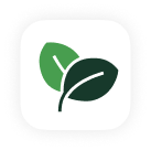 Sprout logo